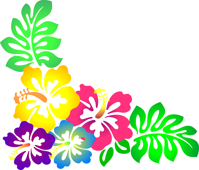 Colorful Hawaiian Hibiscus Flowers PNG image