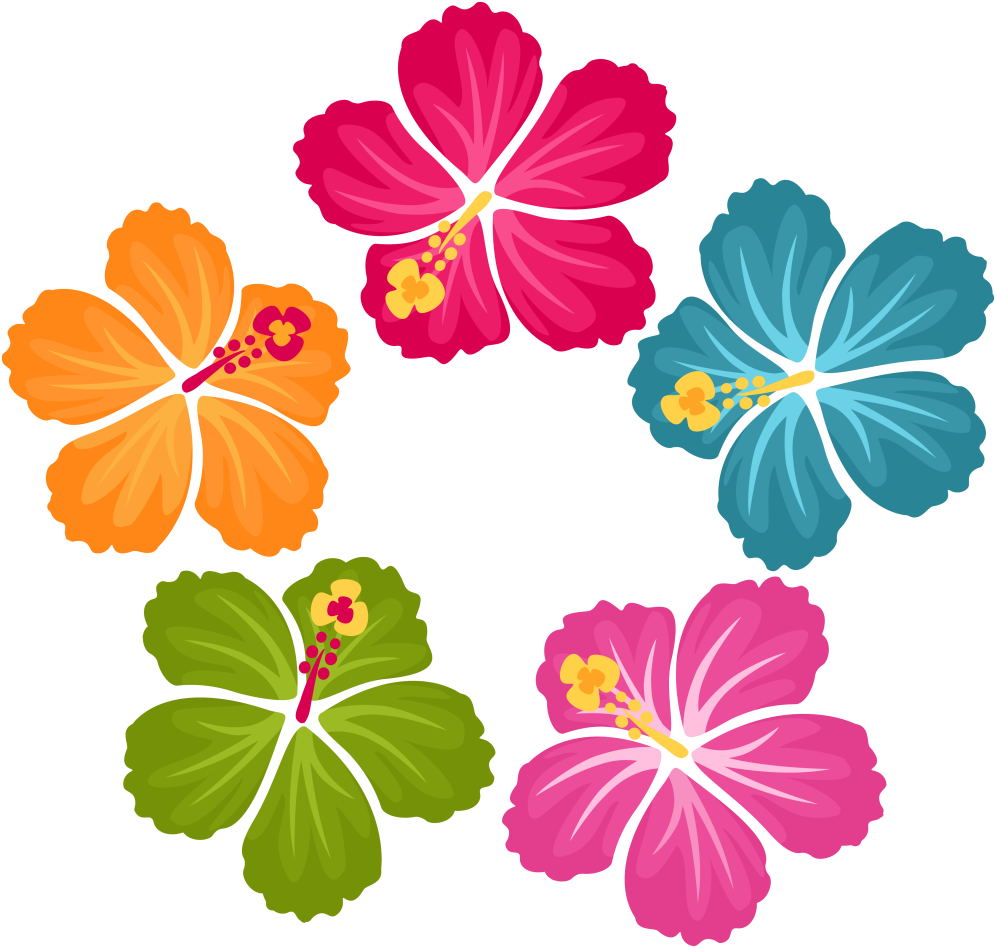 Colorful_ Hawaiian_ Hibiscus_ Flowers_ Vector PNG image