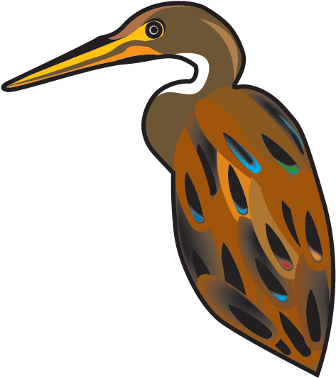 Colorful Heron Illustration PNG image