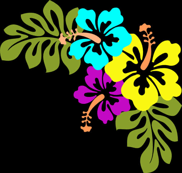 Colorful Hibiscus Vector Floral Design PNG image