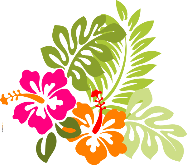 Colorful Hibiscus Vector Illustration PNG image