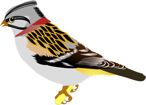 Colorful_ Illustrated_ Bird PNG image