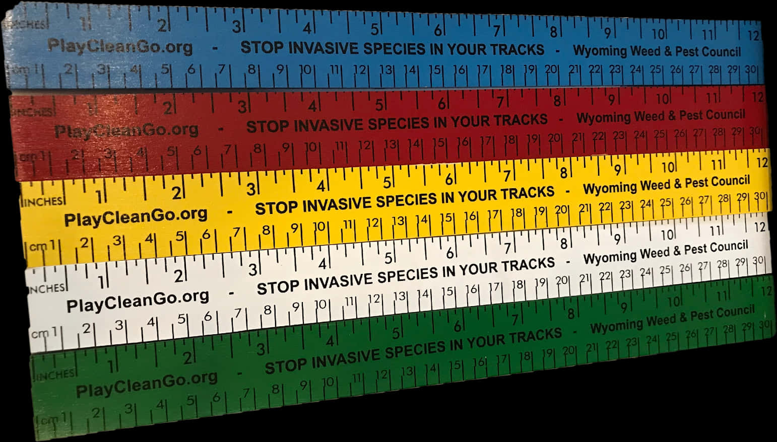 Colorful Invasive Species Awareness Rulers PNG image