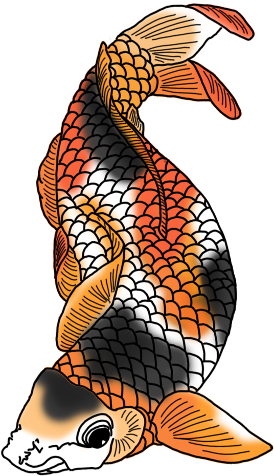 Colorful Koi Fish Illustration PNG image