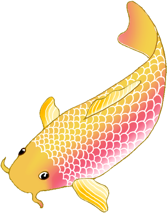 Colorful Koi Fish Illustration PNG image