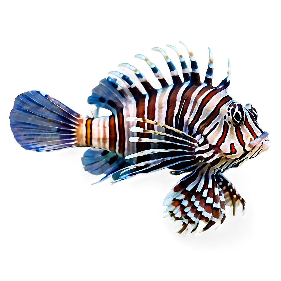 Colorful Lionfish Png 35 PNG image