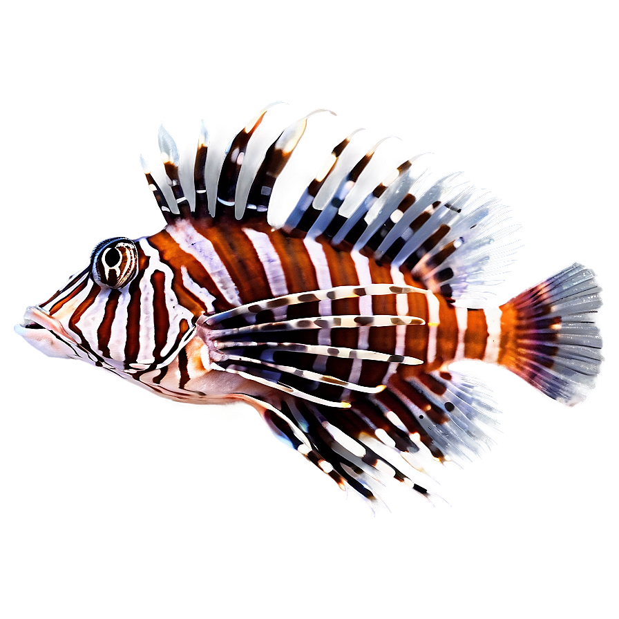 Colorful Lionfish Png Hxw PNG image