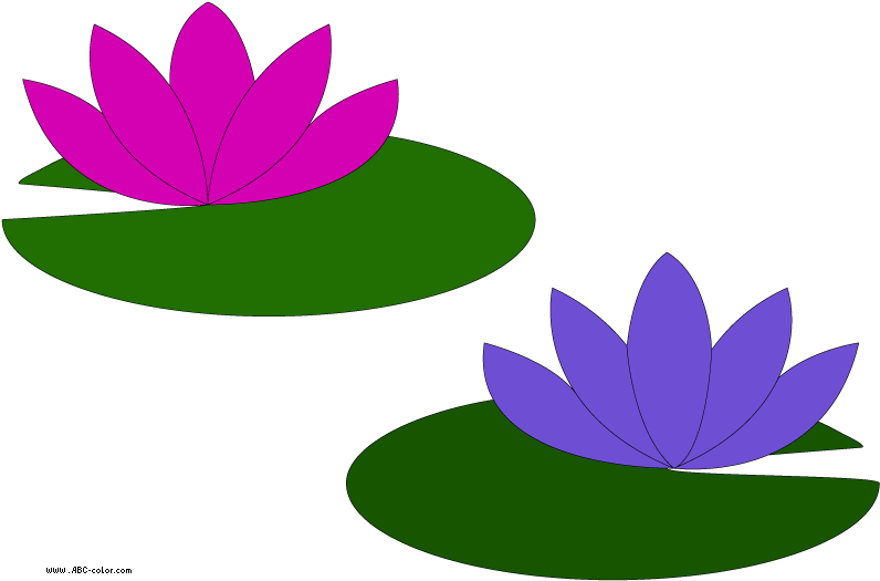 Colorful Lotus Flowers Vector Illustration PNG image