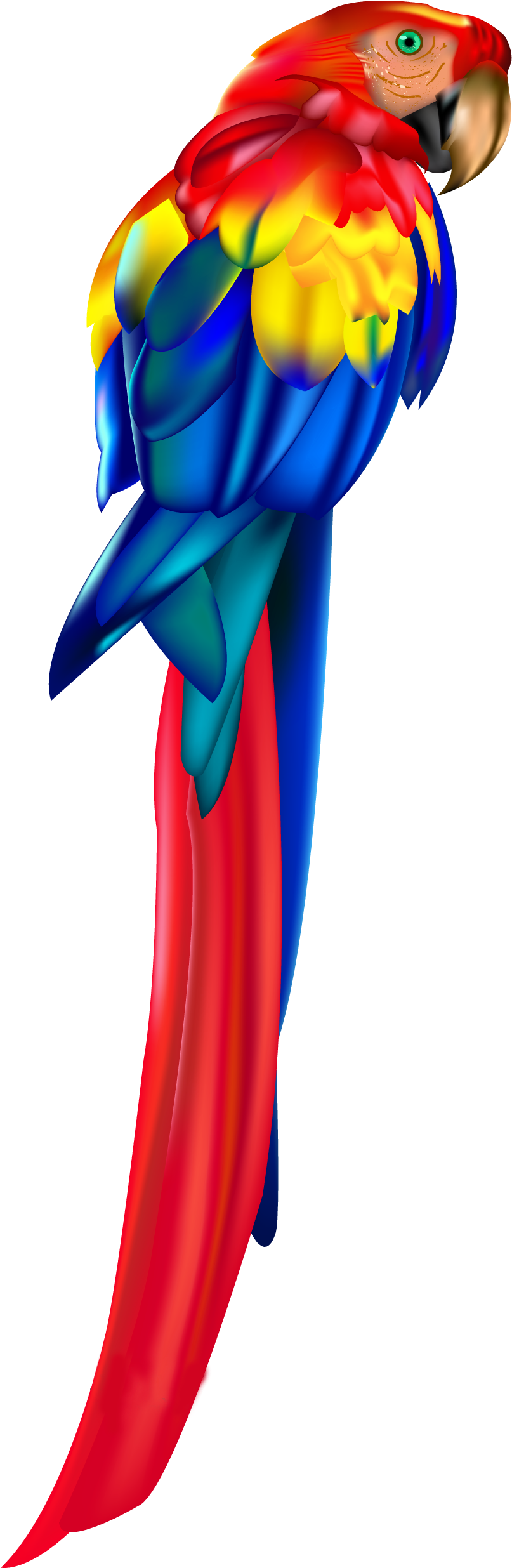 Colorful Macaw Parrot Profile PNG image