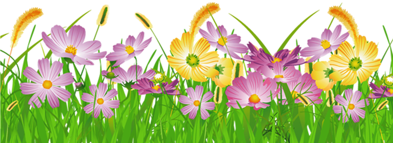 Colorful Meadow Flowers PNG image
