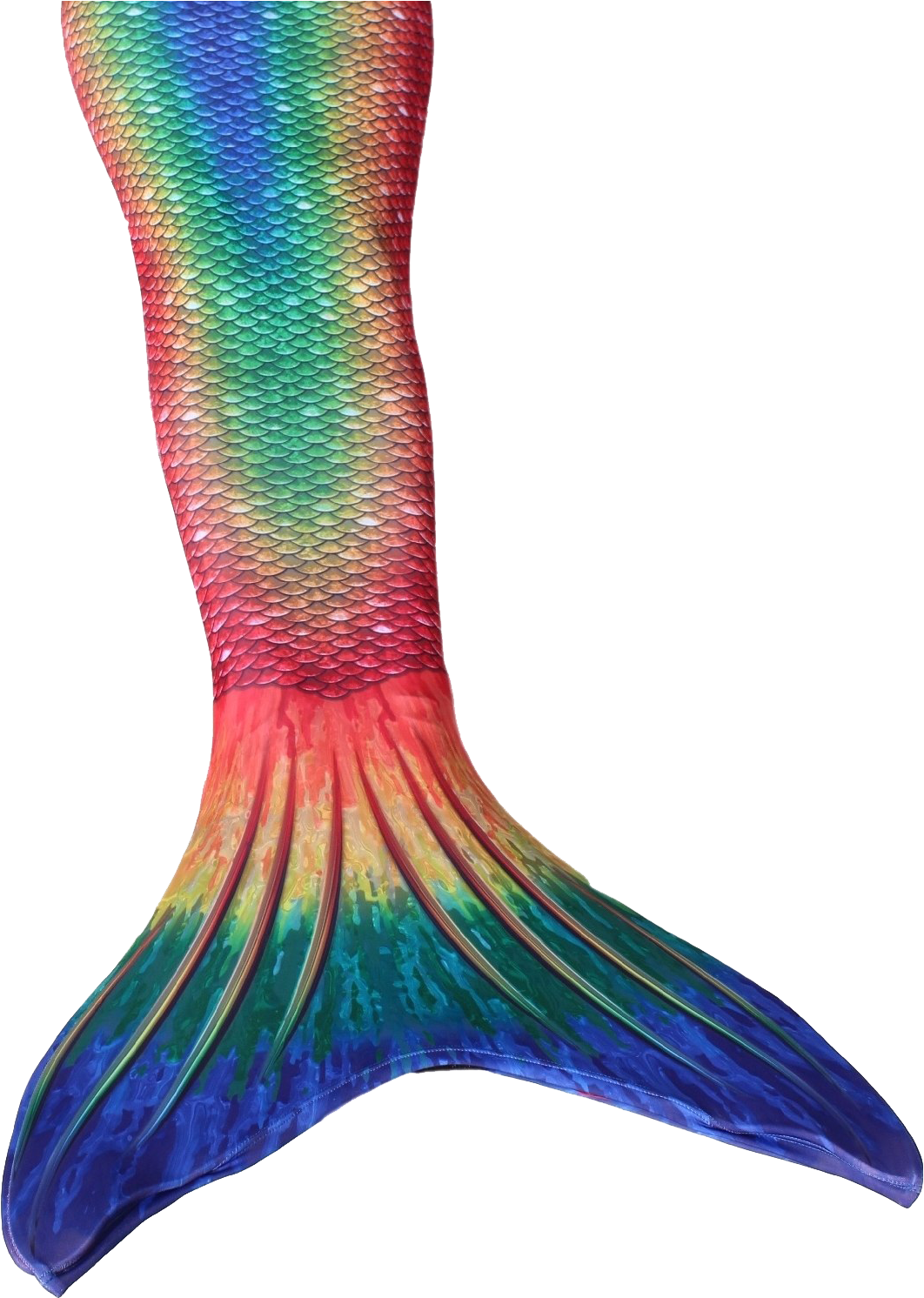 Colorful Mermaid Tail PNG image
