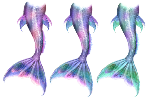 Colorful Mermaid Tails Triptych PNG image