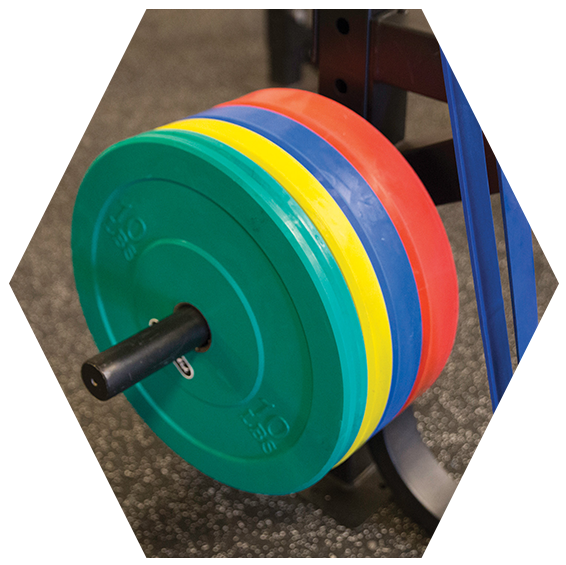 Colorful Olympic Weight Plates PNG image