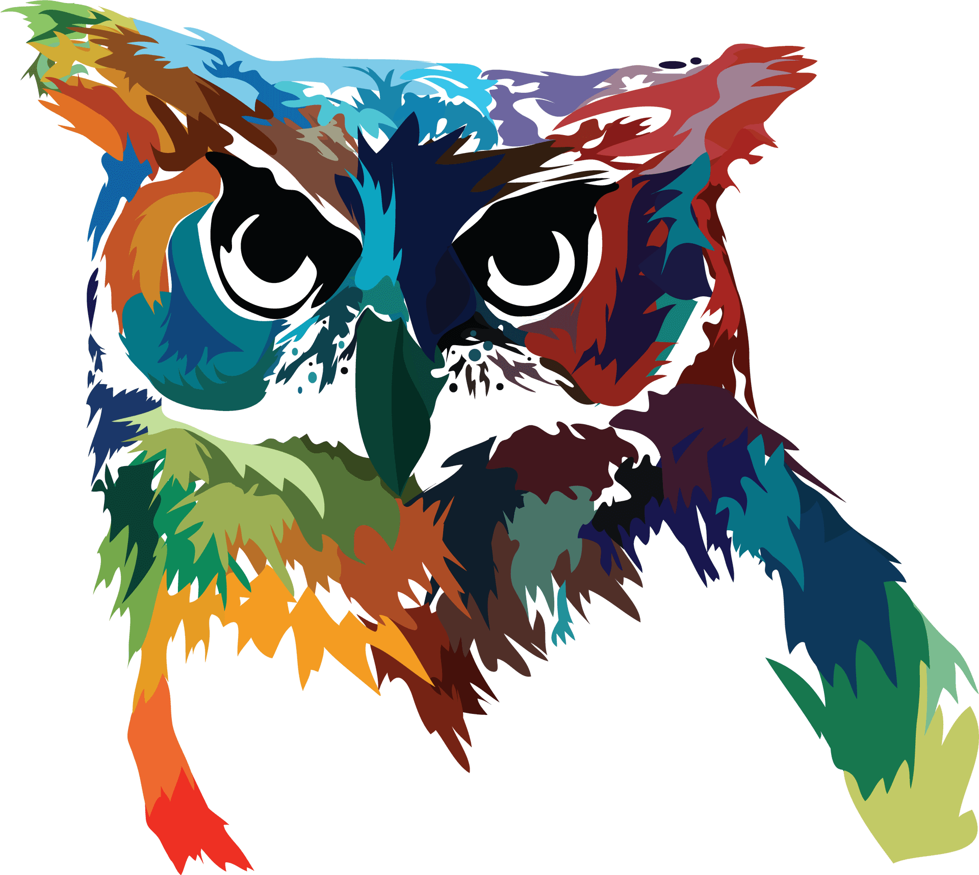 Colorful Owl Artwork PNG image