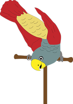 Colorful Parrot Illustration PNG image