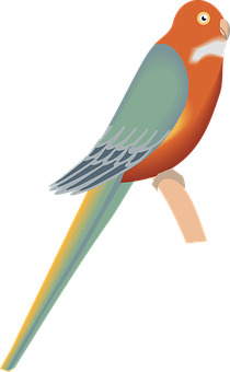 Colorful Parrot Illustration PNG image