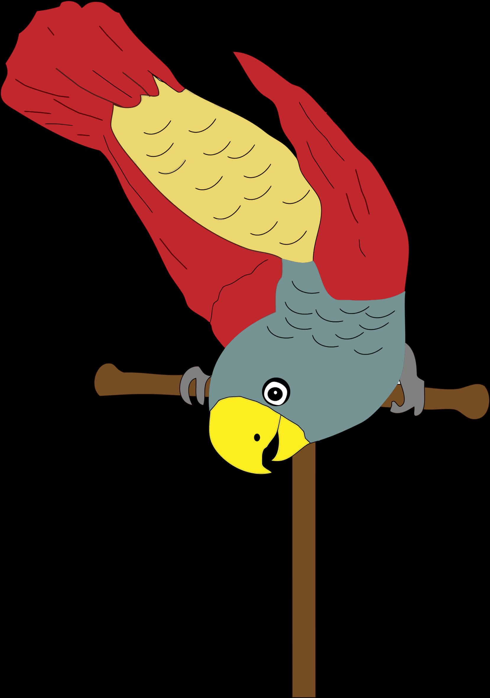 Colorful Parrot Illustration PNG image