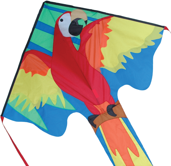 Colorful Parrot Kite Flying Toy PNG image