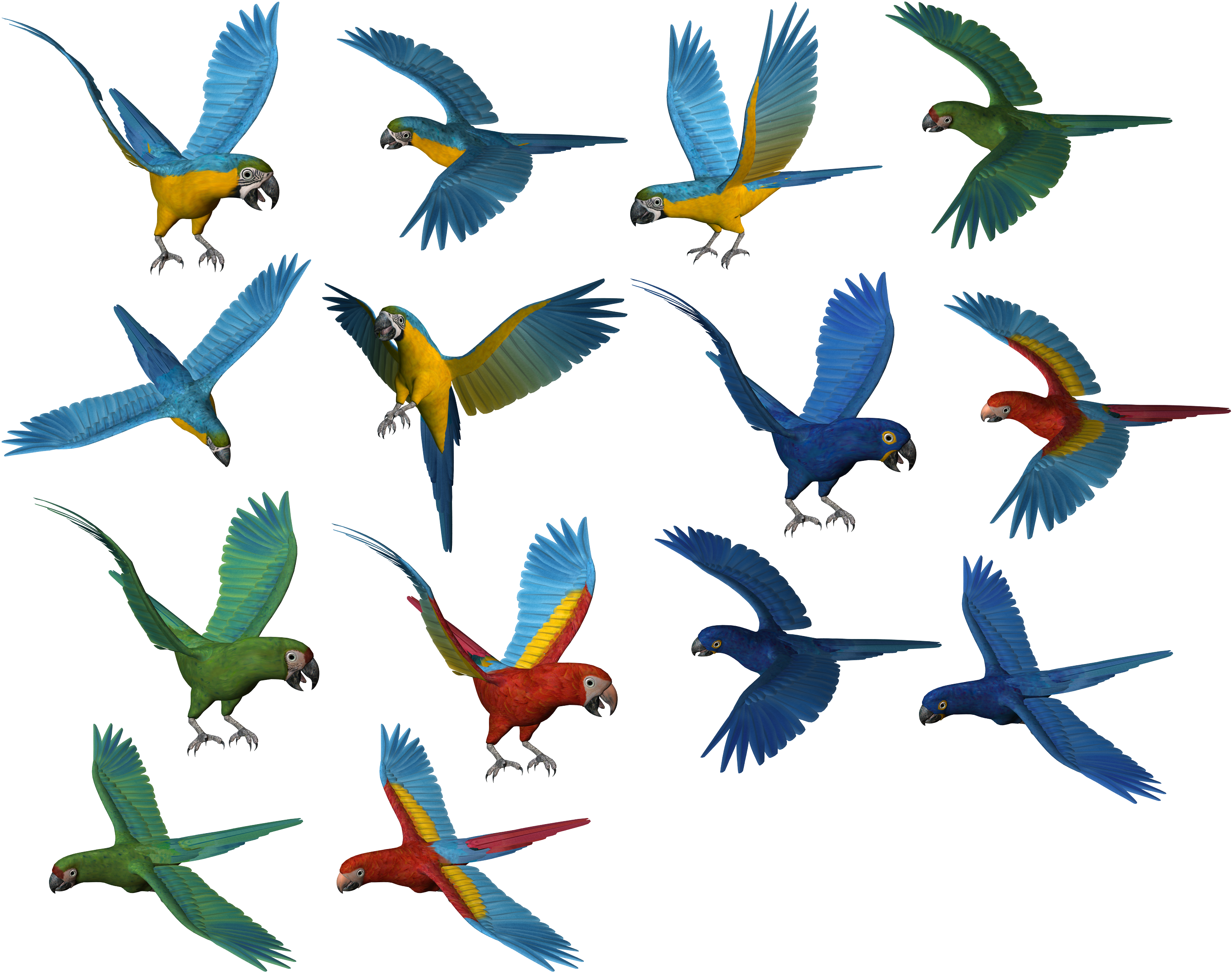 Colorful_ Parrots_ In_ Flight PNG image