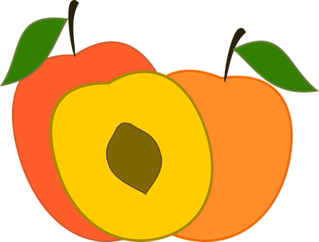 Colorful Peach Graphic PNG image