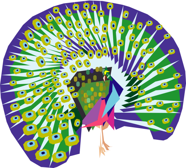 Colorful Peacock Display Illustration PNG image