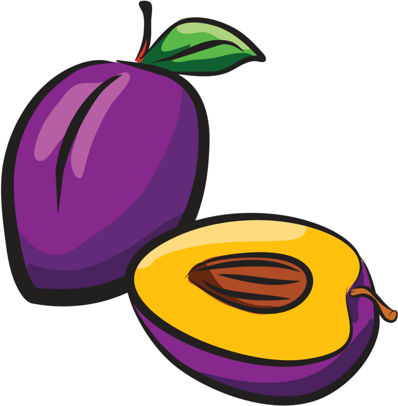 Colorful Plumand Half Illustration PNG image