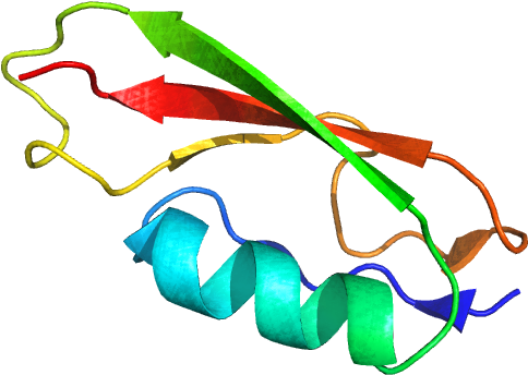 Colorful Protein Structure3 D Model PNG image