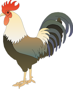 Colorful Rooster Illustration PNG image