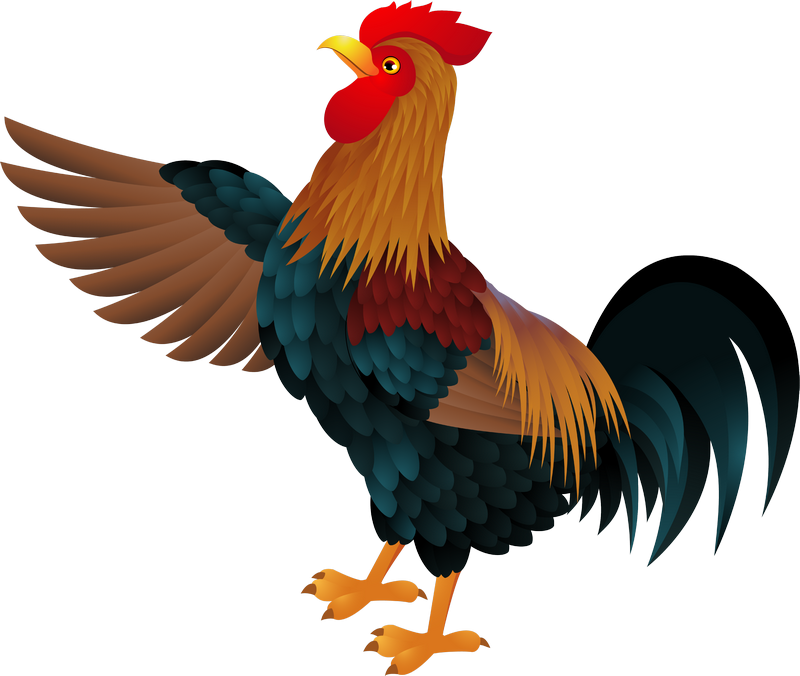 Colorful Rooster Illustration PNG image