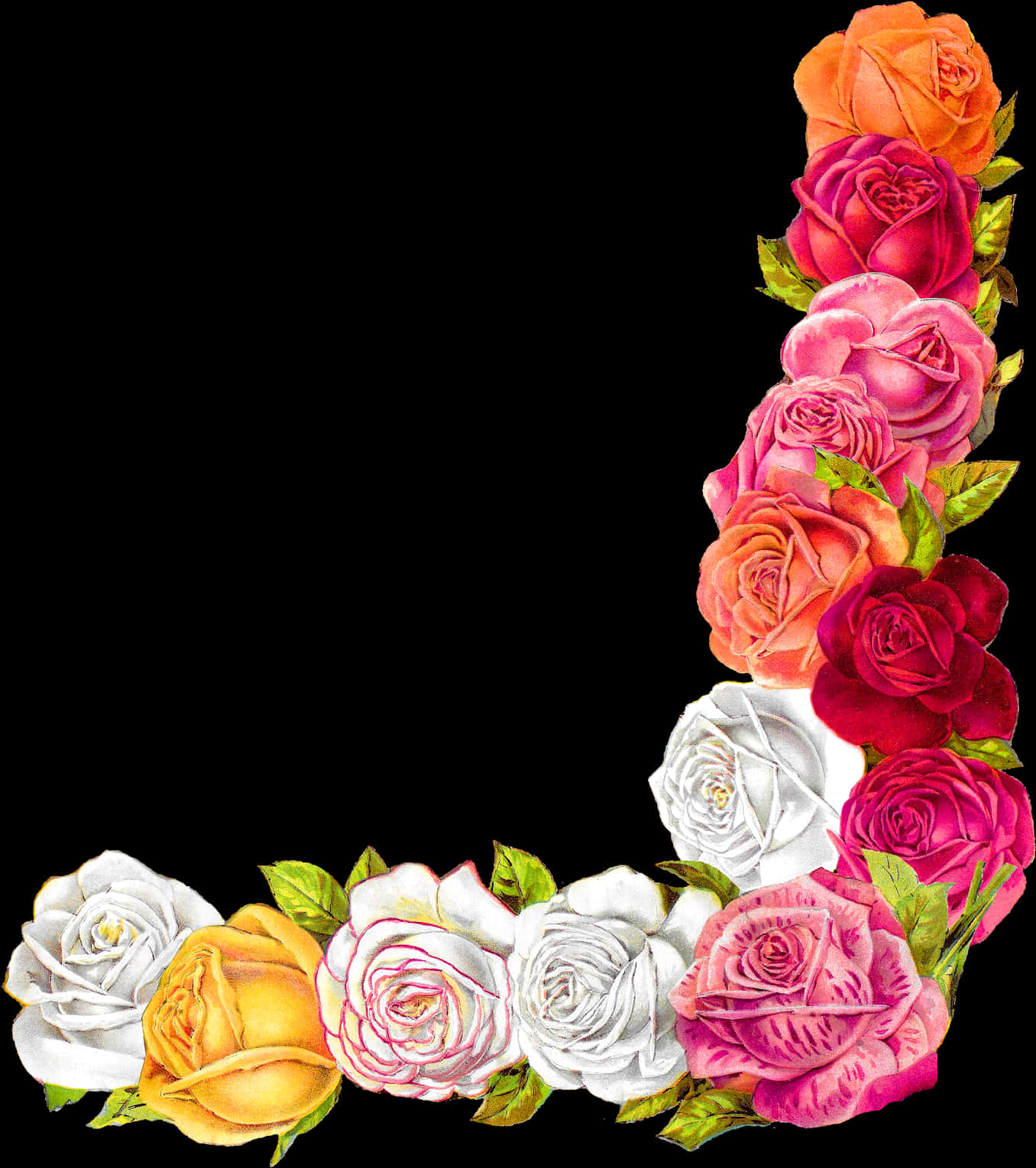 Colorful Rose Corner Design PNG image