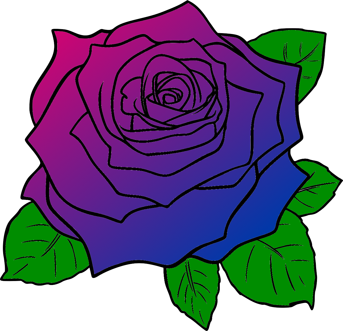 Colorful Rose Drawing.png PNG image