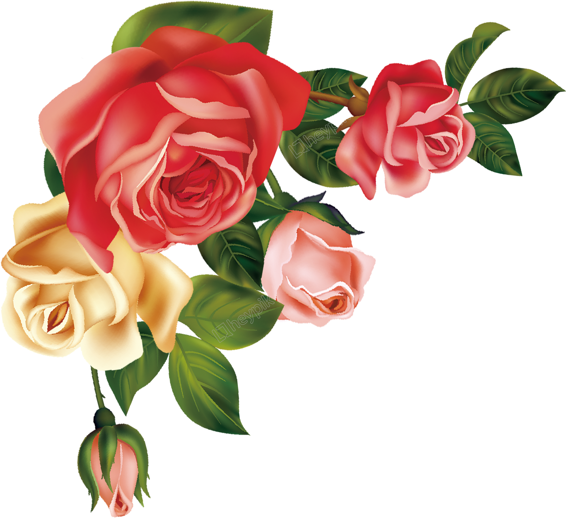 Colorful Rose Vector Illustration PNG image