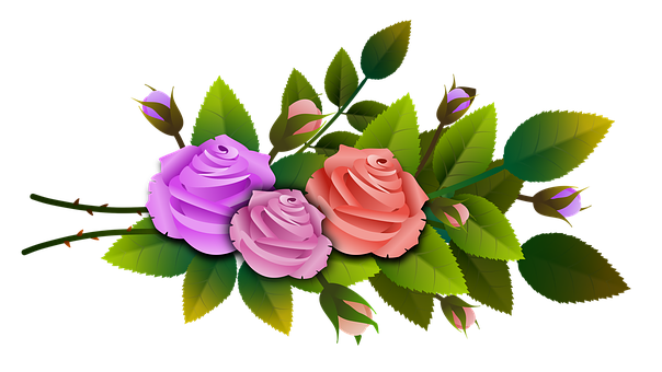 Colorful Roses Black Background PNG image