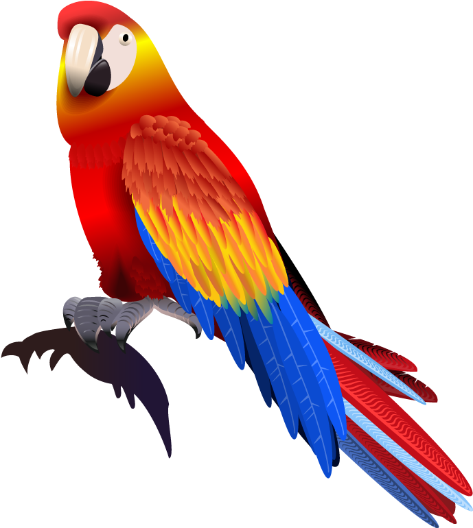 Colorful Scarlet Macaw Illustration PNG image