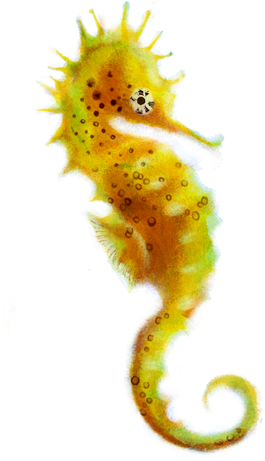 Colorful Seahorse Illustration PNG image