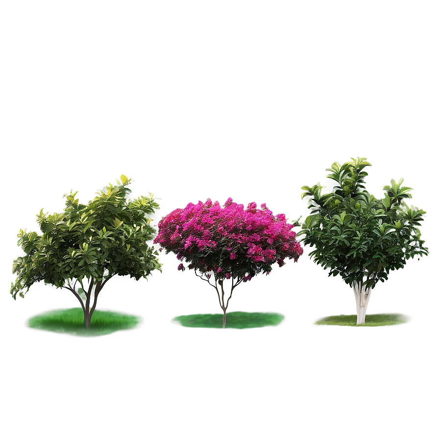 Colorful Shrubs Png 06122024 PNG image