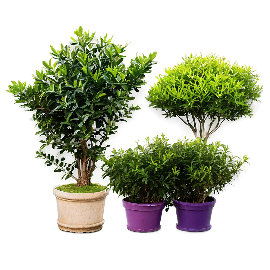 Colorful Shrubs Png 78 PNG image