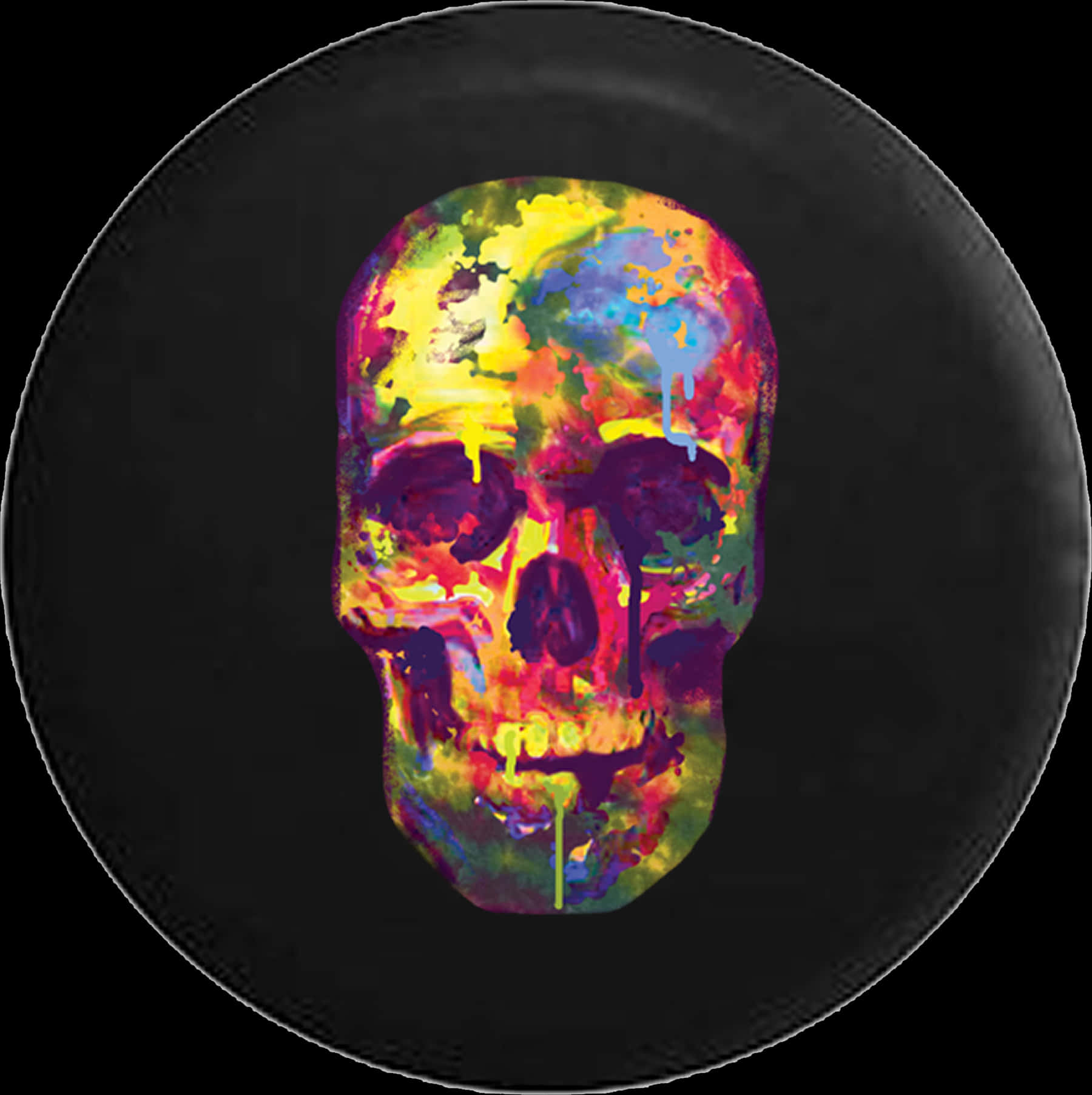 Colorful Skull Art Vinyl Record PNG image