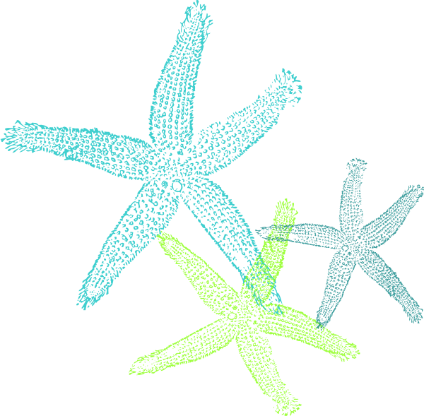 Colorful Starfish Illustration PNG image
