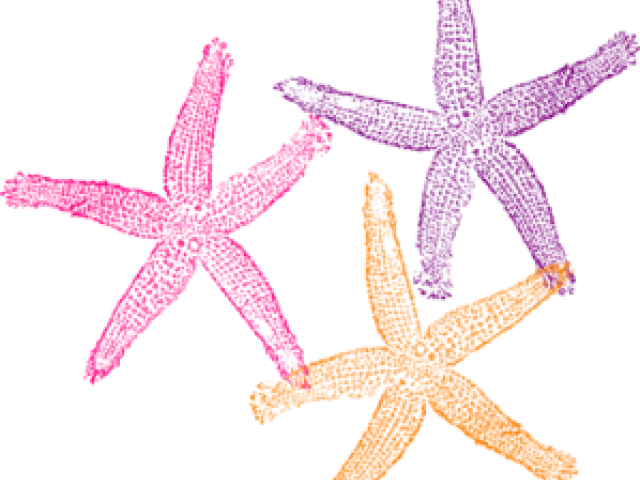 Colorful Starfish Trio Clipart PNG image