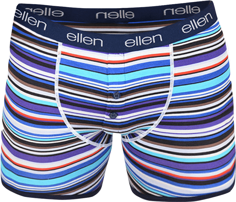 Colorful Striped Boxer Briefs PNG image