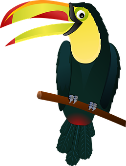 Colorful Toucan Vector Illustration PNG image