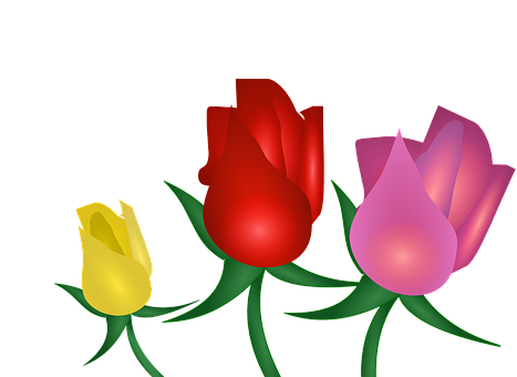 Colorful Trioof Roses Illustration PNG image