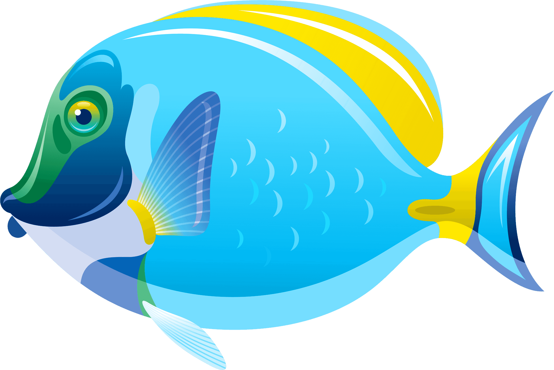 Colorful Tropical Fish Illustration PNG image