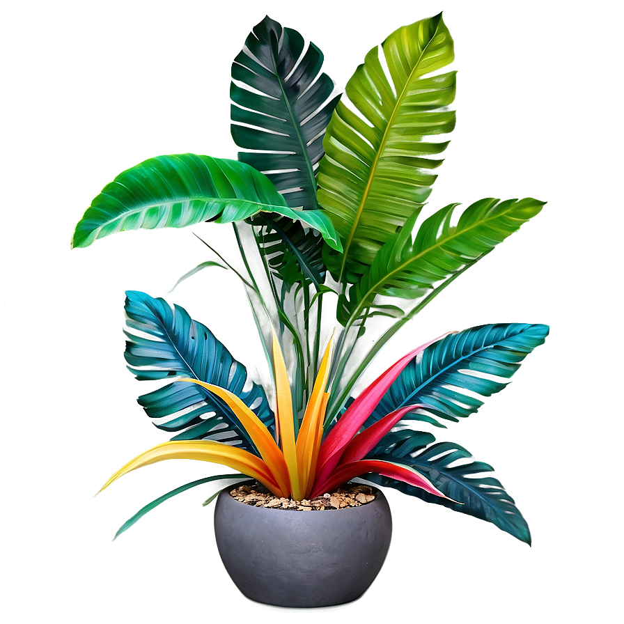 Colorful Tropical Plant Png 36 PNG image