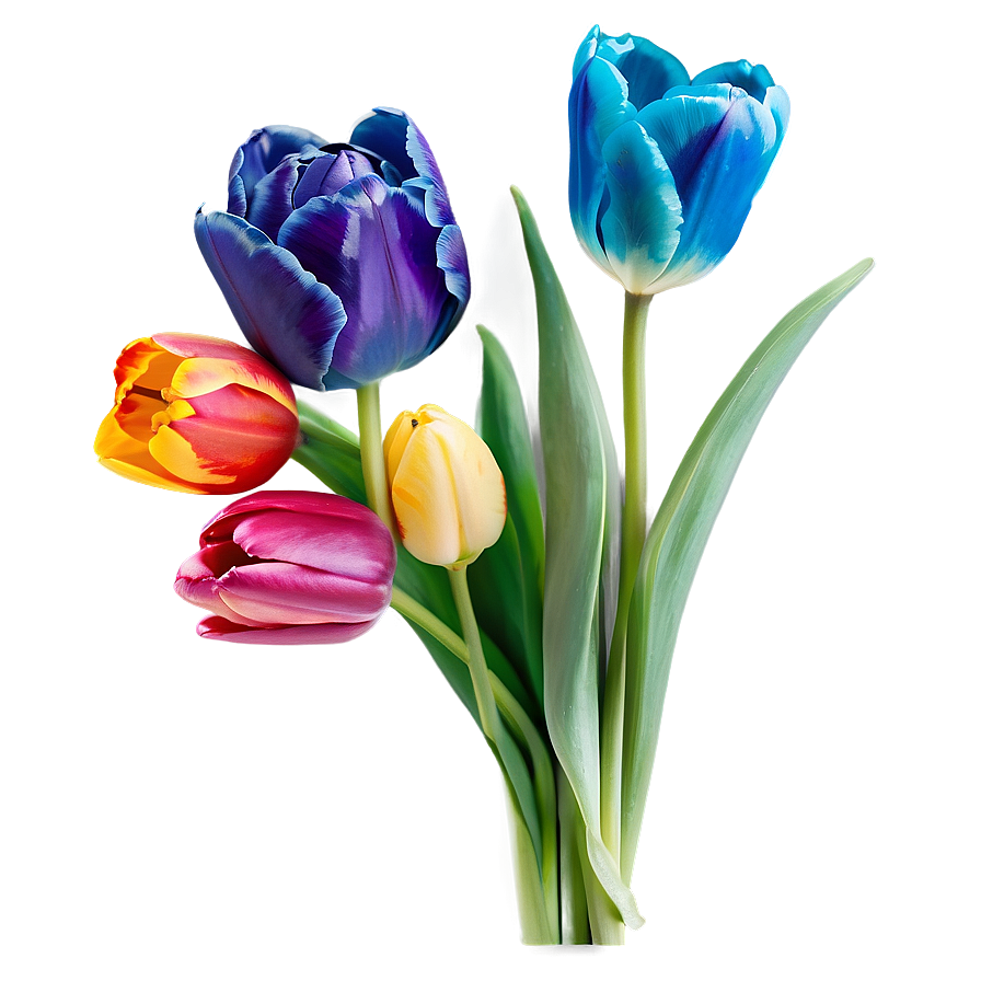 Colorful Tulip Bouquet Png 05242024 PNG image