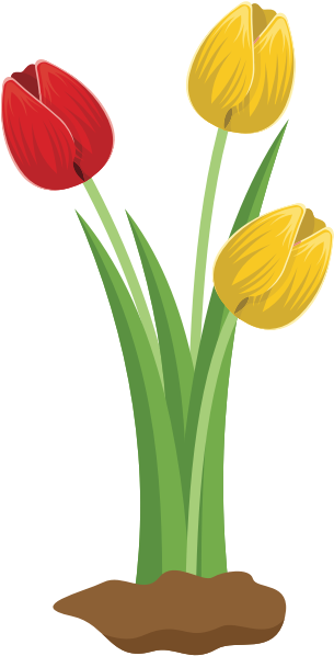 Colorful Tulips Illustration PNG image