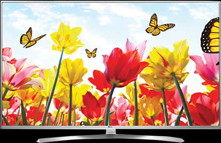 Colorful Tulipsand Butterflies4 K T V Display PNG image