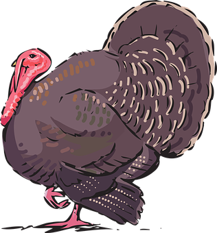 Colorful Turkey Illustration PNG image