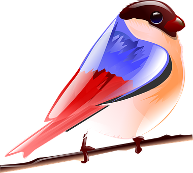 Colorful_ Vector_ Bird_ Illustration PNG image